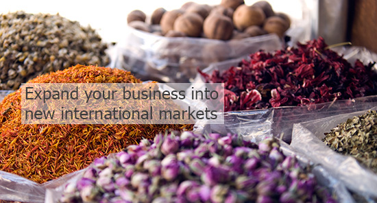 Expand your buisness into new international markets